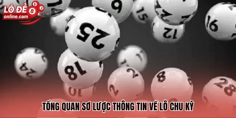 Tổng quan sơ lược thông tin về lô chu kỳ