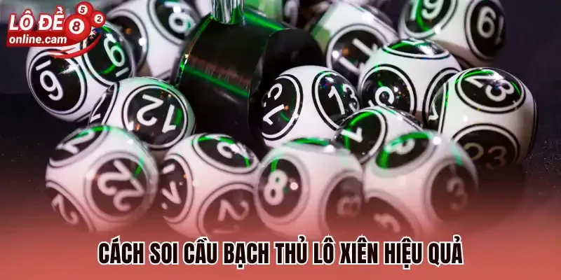 Cách soi cầu bạch thủ lô xiên hiệu quả