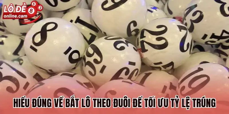 Bạc Nhớ Theo Đuôi - Tìm Hiểu Cách Soi Cầu Hot Nhất 2026 1 Hiểu đúng về bắt lô theo đuôi để tối ưu tỷ lệ trúng