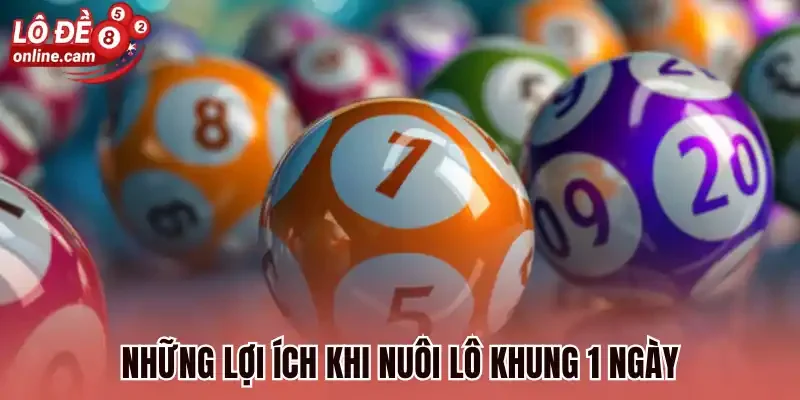 Những lợi ích khi nuôi lô khung 1 ngày