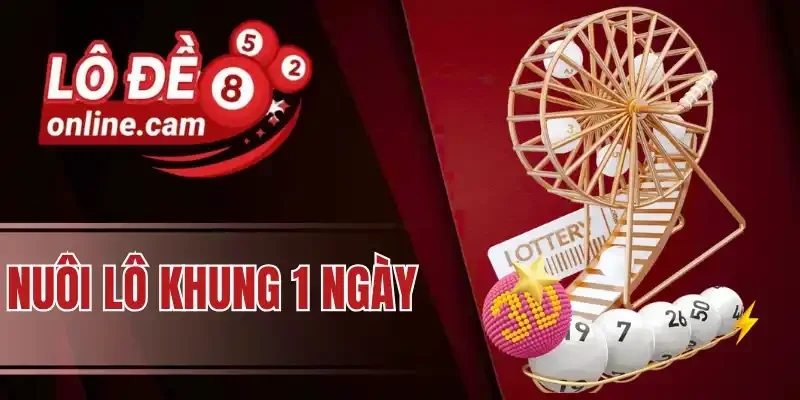 Tìm hiểu cách bắt lô nuôi khung 1 ngày