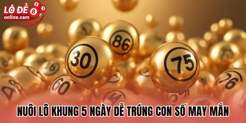 Nuôi Lô Khung 5 Ngày - Cách Xác Định Nuôi Lô Thắng Lớn 1 Nuôi lô khung 5 ngày dễ trúng con số may mắn