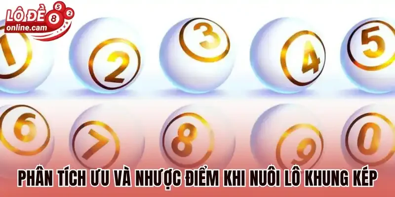 Phân tích ưu và nhược điểm khi nuôi lô khung kép